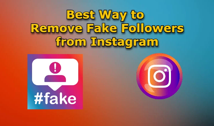 Remove Fake Followers from Instagram